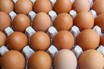 A batch of brown and speckled chicken eggs in a cardboard egg tray from close up