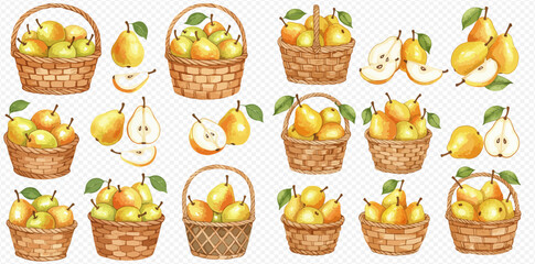 A charming collection of watercolor illustrations featuring ripe yellow pears in wicker baskets, shown whole and sliced.