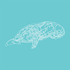PrintDugong cartoon vector design. Manatee drawing for pattern, wallpaper, kids fashion color background