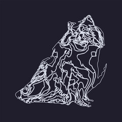 My thai cat pattern Drawn color background