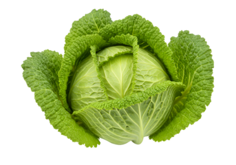 Fresh green cabbage head isolated on transparent background