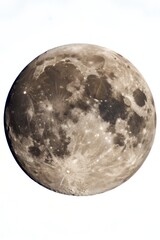 Naklejka premium moon on white