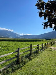 landscape with fence