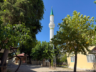 Tall white minaret with green roof seen among leafy trees. Religion, culture, and architecture representing spiritual heritage and tradition.