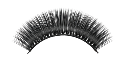 Isolated False Eyelashes
