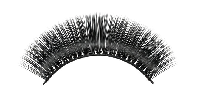 Isolated False Eyelashes