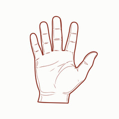 Obraz premium Hand illustration showcasing five fingers with a clean background, ideal for educational or design purposes