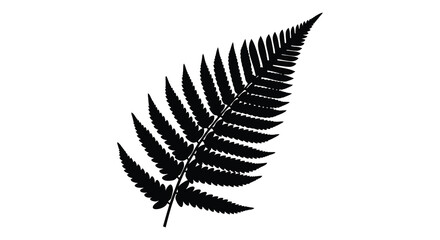A black silhouette of a fern leaf on a white background