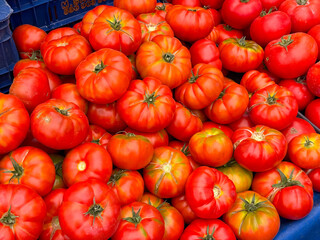 Large red tomatoes with irregular shapes on market stall. Agriculture, farming, and seasonal vegetable harvest with healthy nutrition lifestyle.