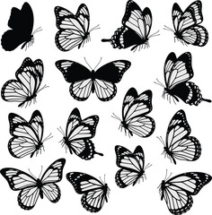 Butterfly silhouette collection, monarch butterflies, black and white vector icons, flying insects, butterfly wings, nature illustration, wildlife, detailed patterns.