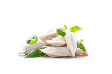 Homemade raw dumplings for cooking