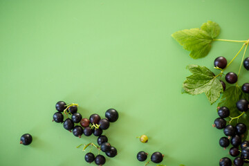 Ripe blackcurrant with leaves on a green background