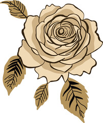 Hand Drawn Beige Rose Illustration