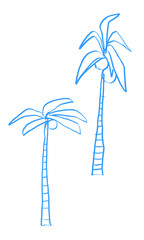 Hand drawn coconut palm trees vector illustration