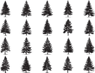 Obraz premium Conifer Pine Tree Silhouette SVG