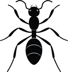 A funny cartoon spider vector on a white background with a smile