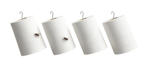 Four rolls of white paper towels, each with a small dark insect