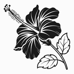 Hand drawn black and white vintage floral design with a delicate pattern of spring blossoms