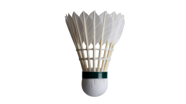 Shuttlecock ready for badminton fun, competitive sport equipment