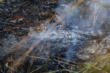 Detalhe de cinzas ainda com fumaça de incêndio em bosque. Queimadas. Problema ambiental.