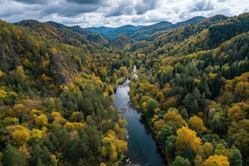 Scenic aerial view of a winding river flowing through a lush autumn forest with colorful trees and mountains under a cloudy sky.