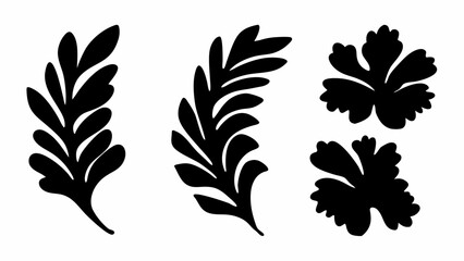 Illustration of two fern like leaves and two lobed leaves in black silhouette on a white background space | editable eps vectors