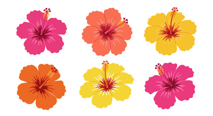 Vibrant collection of six tropical hibiscus flowers in pink orange and yellow isolated on white background © rabbivay