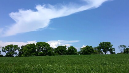 Obraz premium Lush green field under a vibrant blue sky