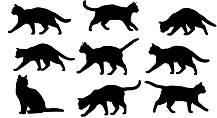 Collection of nine black cat silhouettes in various playful and graceful poses on a white background