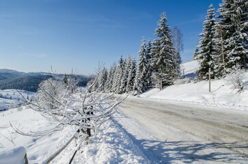 
A snow-dusted mountain road winds through a forest, guiding the viewer’s gaze into the distance. The asphalt is visible beneath a thin layer of snow, while the edges of the road app