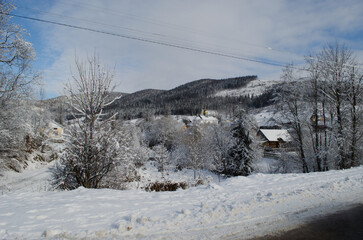 Small wooden chalets peek through the snow-covered trees, evoking warmth and coziness. The cloudy sky adds a soft, tranquil light, emphasizing the fairy-tale charm of the winter land