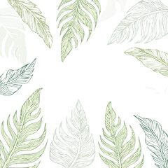 Fototapeta premium Green botanical leaves pattern white nature