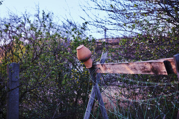 Clay Pot on Rustic Fence in Spring Garden