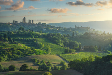 Fototapeta premium San Gimignano medieval towers and vineyards at sunset, Tuscany, Italy