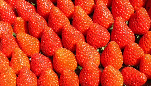 Close-up view of many bright red strawberries