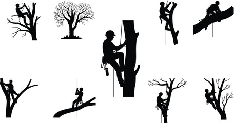 Tree climber silhouettes in various poses, arborist climbing equipment, safety gear, forest work, professional tree trimming, black and white illustration.