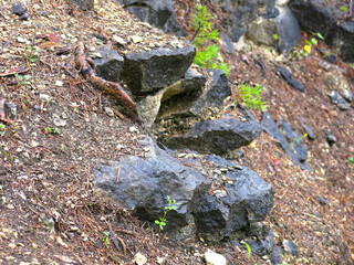 stone rocks and trees in Dyukinsky quarries (Vladimir region, Russia)