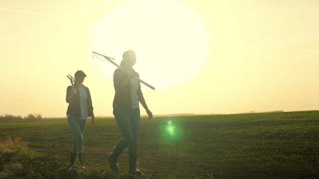 Farmers are walking across the field with a rake and a shovel, planting crops in the garden, agricultural land, cultivating crops, plowing up the soil of the soil.