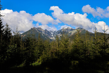 Zakopane, góry, szczyty,szczyt, krajobraz, chmury, gęsia szyja, wspinaczka, widok, las, schronisko © Estera