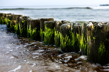 Bałtyk, morze, woda, zachód słońca, plaża, mewa, chmury, krajobraz © Estera