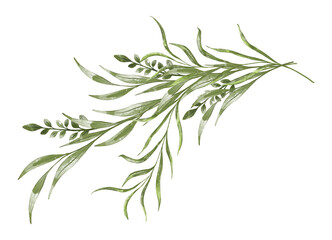 Watercolor eucalyptus branch isolated on white background. Botanical hand painting illustration for wedding invitation, greeting card end eco design