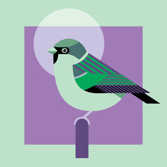 Geometric sparrow on perch