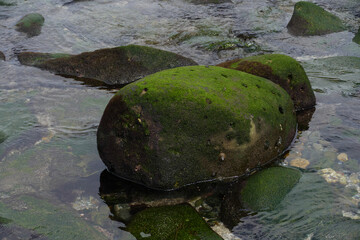 Pacific shore with white wave and blue ocean