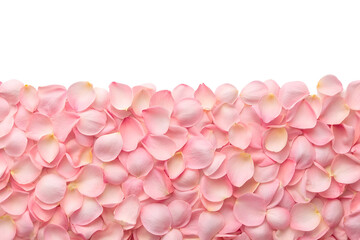 Obraz premium Soft pink flower petals scattered isolated on white background