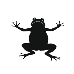 Black Frog Silhouette with Spread Limbs, Webbed Toes, and White Eyes in Top-Down View on White Background for Nature Illustration