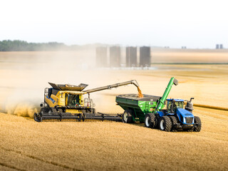 Fototapeta premium combine harvester working in a field