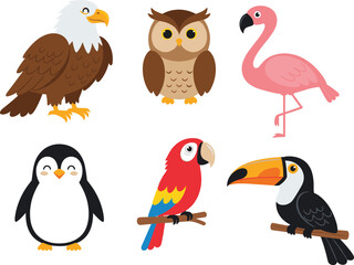 Cartoon bird illustration set, eagle, owl, flamingo, penguin, parrot, toucan, exotic and wild birds collection, cute animal characters vector design