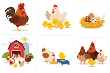 Farm animals vector set, hen, rooster, chicks, eggs in nest, barnyard scene illustration for kids, educational and cartoon poultry design © LITON