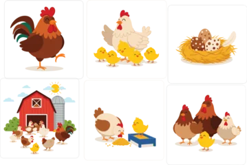Fototapeten Bauernhof Farm animals vector set, hen, rooster, chicks, eggs in nest, barnyard scene illustration for kids, educational and cartoon poultry design  © LITON