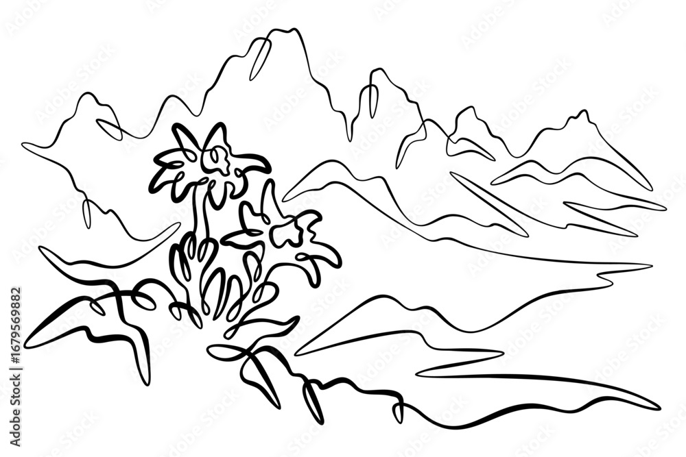 Poster continuous one line drawing alpine flowers. mountain flowers. mountain landscape. one continuous lin